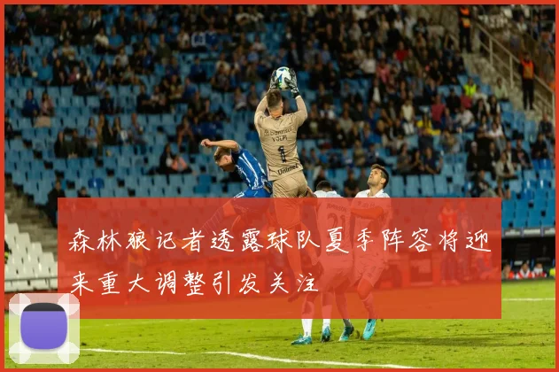 森林狼记者透露球队夏季阵容将迎来重大调整引发关注