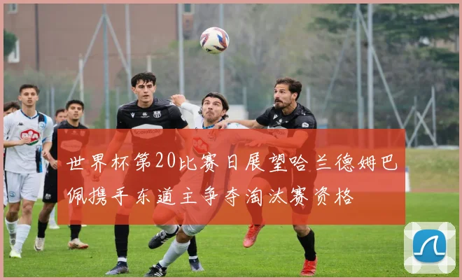世界杯第20比赛日展望哈兰德姆巴佩携手东道主争夺淘汰赛资格